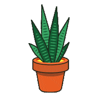 Plant Snakeplant Sticker by Foundry