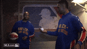 GIF by MLB