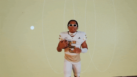 Georgia Tech Football Sport GIF by Georgia Tech Yellow Jackets