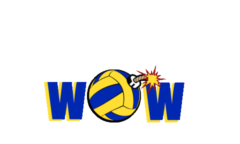 Volleyball Pdv Sticker by Problemi di Volley