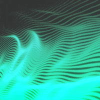 GIF by Borrachas