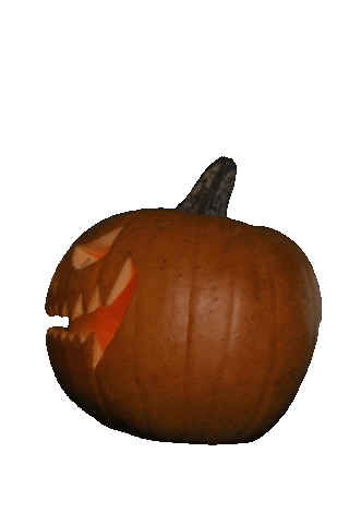 Harry Potter Halloween Sticker