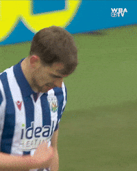 West Brom Wba GIF by West Bromwich Albion