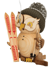 Ski Sticker by Kuhnert