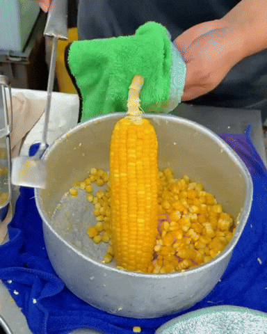 Roisse giphyupload GIF