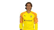 Borussia Moenchengladbach Wtf Sticker by Bundesliga