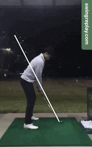 golfswingreplay golfswingreplay GIF