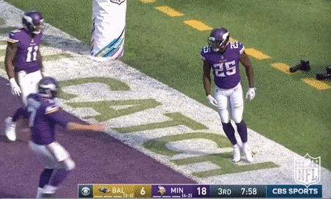 Minnesota Vikings Football GIF by NFL