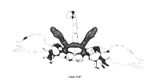 Dance Monster Sticker by Hectic Events