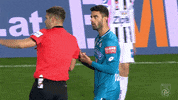 Sturm Graz Bundesliga GIF by SK Sturm