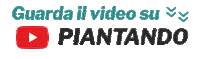 Youtube Video Sticker by Piantando