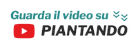 Youtube Video Sticker by Piantando