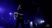 Bonnaroo 2016 GIF by Bonnaroo Music and Arts Festival