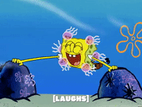 season 5 the two faces of squidward GIF by SpongeBob SquarePants