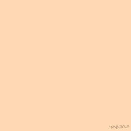 Animation Domination Lol GIF by gifnews