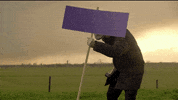 Voltnederland Volteuropa GIF by VoltNL