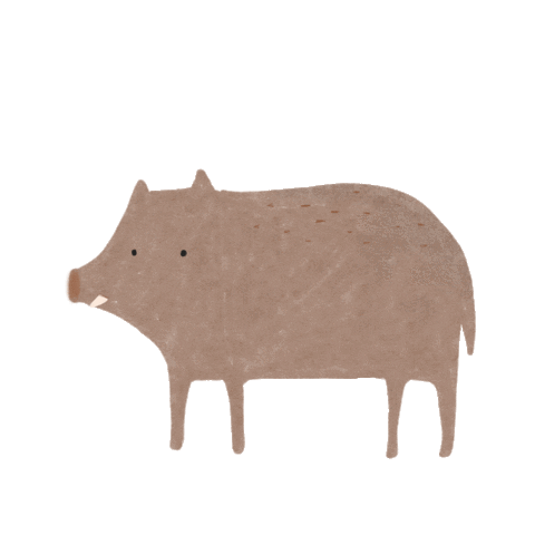 danariesgo animal wild cerdo jabali Sticker