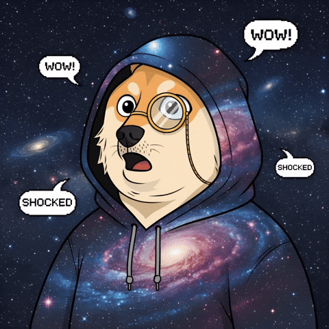 Shiba Inu Wow GIF by Doge Pound