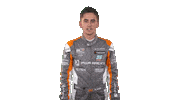 touring car celebration Sticker by FIA WTCR