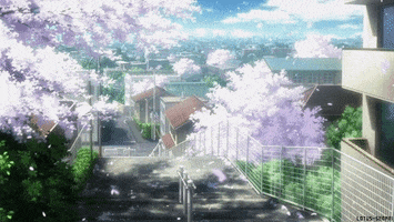 Cherry Blossoms Sakura GIF