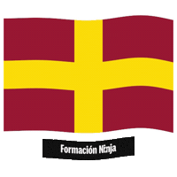 Comunidad De Madrid Flag Sticker by Formación Ninja