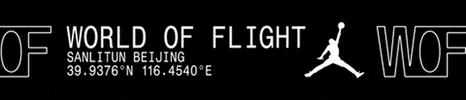 Jordan Take Flight GIF by jumpman23