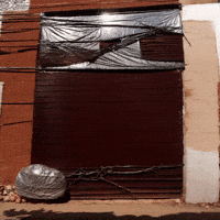 Bg Network GIF by Aleksey Efremov