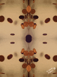 Stop Motion Money GIF by Kitsune Kowai