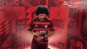 Republicfc Sacrepublic GIF by Sacramento Republic FC
