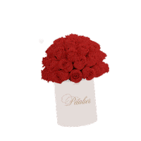 Red Rose Roses Sticker by Petalier