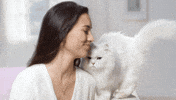 Fancyfeast GIF by PurinaUS