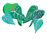 Plant Sticker