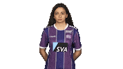 Vfl Osnabrück Vbl Sticker by Bundesliga