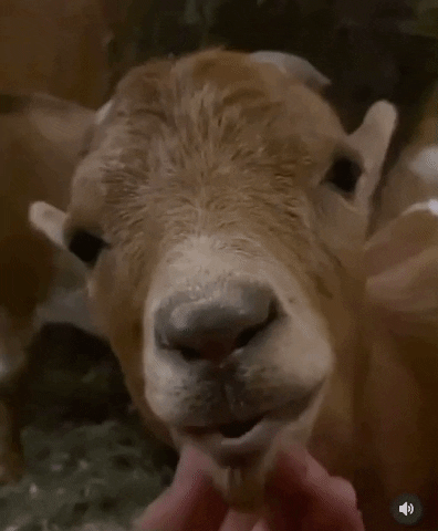 maybelarts giphyupload GIF