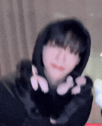 Nct Dream Kitty GIF
