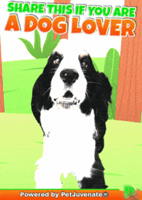 Henlo Hooman Fren GIF by PetJuvenate - PJ