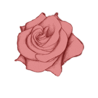 For You Love Sticker by The Graphic Link