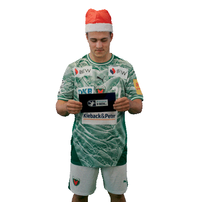 Handball Berlin Sticker by DAIKIN HBL
