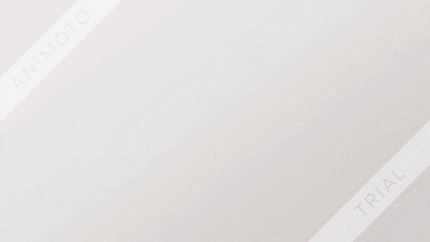 hadishaikh giphyupload GIF