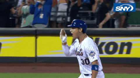 New York Mets GIF by SNY