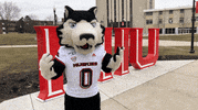 Say So Doja Cat GIF by Northern Illinois University