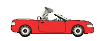 Travel Zebra Sticker by Michelle Rago Destinations