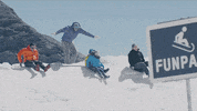 Glacier_3000 travel adventure switzerland mountains GIF
