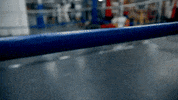 Boxing GIF