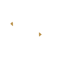 made with surfing Sticker by Rip Curl