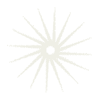 nicolasstajic stajic nicolasstajic instajic Sticker