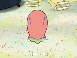 season 8 barnacle face GIF by SpongeBob SquarePants