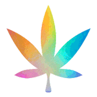 Lgbt Pride Rainbow Sticker by RYTHM