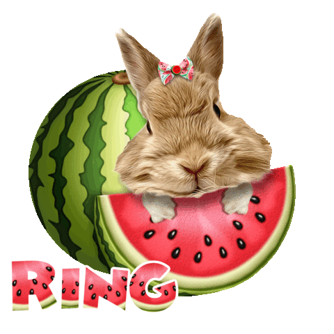 Bunny Rabbit Sticker by Pimp Yo Pets