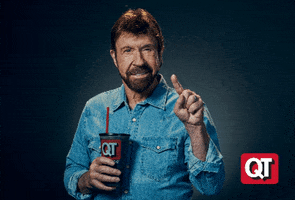 Chuck Norris Qt GIF
